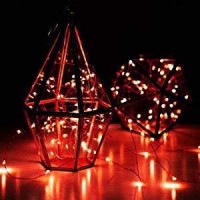 Fantado 20 Red Led Micro Fairy String Lights, Wire (6Ft, Battery Operated) By Paperlanternstore