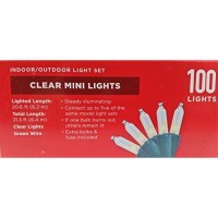 Holiday Indoor/Outdoor Light Set 100 Clear