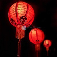 Quasimoon Paperlanternstore.Com 24 Inch Traditional Chinese Paper Lantern W/Tassel