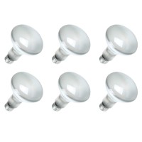 Sylvania 15160-6 120-Volt 65-Watt Flood Lamp Bulbs (6 Pack)