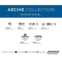 Progress Lighting P3740-81 Med Flush Mount, 2-75-Watt, Antique Nickel