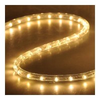 Flexible Warm White Illuminated 546 Led Bulbs Rope Light 50Ͽ