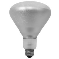 Bulbrite Incandescent Br40 Medium Screw Base (E26) Light Bulb, 250 Watt, Clear Tough Coat