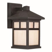 Forte Lighting 1773-01-04 Exterior Wall Light With Honey Glass Shades, Black