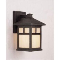 Forte Lighting 1773-01-04 Exterior Wall Light With Honey Glass Shades, Black