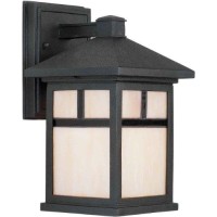 Forte Lighting 1773-01-04 Exterior Wall Light With Honey Glass Shades, Black