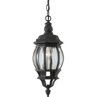 Forte Lighting 1702-01-04 Traditional 1-Light Exterior Hanging Lantern With Clear Beveled Glass, Black Finish