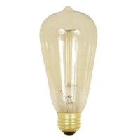 Bulb Vintage 40W Edison By Feit Mfrpartno Bp40St19/Rp