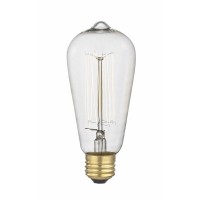 Design Classics Industrial Edison Squirrel Cage St58 Light Bulb - 40-Watts 2400K - Incandescent