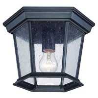 Acclaim 5275Bk/Sd Dover Collection 1-Light Ceiling Mount Outdoor Light Fixture, Matte Black