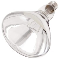 Satco S7012 Medium Bulb In Light Finish, 7.63 Inches, Clear Heat