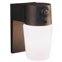 Heath Zenith Entryway Security Light In Bronze Finish