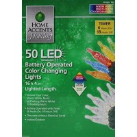 Home Accents Holiday Party 50 Led Battery Operated Color Changing Lights With Timer