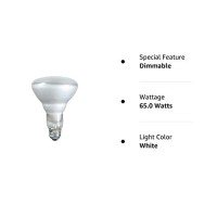 Philips 65W Br-30 Reflector Flood Light Bulb, E26 Medium Base, 620 Lumens, Indoor, 12 Pack