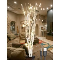 Lightshare 36Inch 16Led Natural Willow Twig Lighted Branch For Home Decoration, Usb Plug-In And Battery Powered