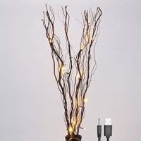 Lightshare Upgraded 36Inch 16Led Natural Willow Twig Lighted Branch For Home Decoration, Usb Plug-In And Battery Powered