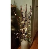 Lightshare Upgraded 36Inch 16Led Natural Willow Twig Lighted Branch For Home Decoration, Usb Plug-In And Battery Powered