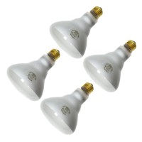 Philips B3G1 65-Watt Indoor Flood Display Light Bulb (4-Pack)