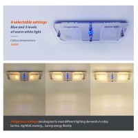 Dream Lighting Rv Led Ceiling Light With Dimmer Switch Memory Function 12Volt Motorhome Boat Interior Light Fixture Blue W