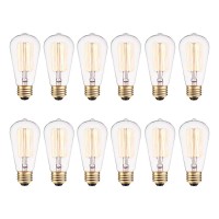 Globe 40W Vintage Edison S60 Squirrel Cage Incandescent Filament Light Bulb 12-Pack, E26 Base, 145 Lumens,313242