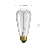 Globe 40W Vintage Edison S60 Squirrel Cage Incandescent Filament Light Bulb 12-Pack, E26 Base, 145 Lumens,313242