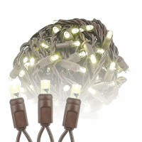 Novelty Lights 100 Commercial Led Christmas Lights (Warm White), 50 Feet W/ 6