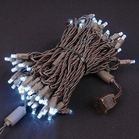 Novelty Lights 100 Commercial Led Christmas Lights (Pure White), 50 Feet W/ 6