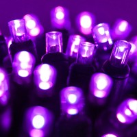 Wintergreen Lighting Led Purple Halloween Mini Light Set, 70 5Mm Lights, Indoor/Outdoor Halloween Light Decorations, 120V Ul Certified, Black Wire