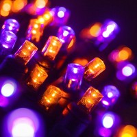 Wintergreen Lighting Led Purple, Orange Halloween Mini Light Set, 70 5Mm Lights, Indoor/Outdoor Halloween Light Decorations, 120V Ul Certified, Black Wire