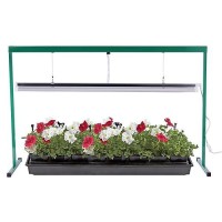 Ipower Glt5Xx4 54W T5 Fluorescent Grow Light System With Stand Rack For Plant Seed Starting 6400K 4 Feet 1 Unfoldable4 Feet