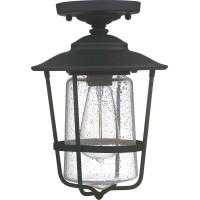 Capital Lighting 9607Bk Creekside Clear Glass Outdoor Semi Flush Ceiling Light Fixture, 1-Light 100 Watt, 12