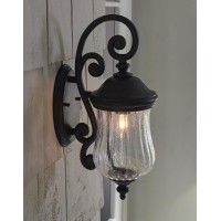 Acclaim 39702Bc Bellagio Collection 1-Light Outdoor Light Fixture Wall Lantern, Black Coral