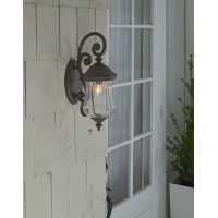 Acclaim 39702Bc Bellagio Collection 1-Light Outdoor Light Fixture Wall Lantern, Black Coral