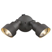 Acclaim Lfl2Abz Led Floodlights Collection 2-Light Outdoor Light Fixture, Architectural Bronze