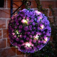 Solalite Set Of 2-28Cm Purple Rose Solar Powered Topiary Ball With 20 Led Lights - Dual Function 40 White