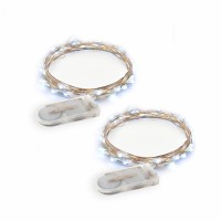 Rtgs Products Cold White Colored Led Lights Indoor And Outdoor String Lights, Fairy Lights Battery Powered For Patio, Bedroom, Holiday Decor, Etc