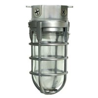 Woods L1706Bs Vandal Resistant 150W Incandescent Security Light, Ceiling Mount, Compatible With Up To 50 Watt Standard Base Bulbs, Brushed Steel