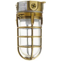 Woods L1706Ab Vandal Resistant 150W Incandescent Security Light, Ceiling Mount, Antique Brass