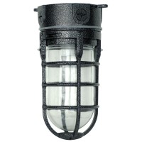 Woods L1706Blk Light, Security Weather Tight Industrial, One Size, Black