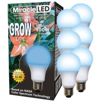 Miracle Led Absolute Daylight Growth Starter Plant Growing Bulb, 6W Blue + 5000K Grow Light 6-Pack (604895)