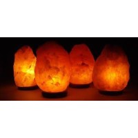 Bulbmaster Himalayan Light Bulb Replacement For Mediumlarge Himalayan Salt Lamps Rocks Long Lasting Incandescent Bulbs E12 Cand