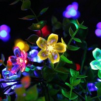 Qedertek 21Ft 50 Led Solar String Lights, Fairy Blossom Solar Flower Garden Lights For Outdoor, Lawn, Wedding, Patio, Party And Holiday Decorations, 1 Pack (Multi-Color)