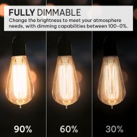 Hudson Bulb Co. Vintage Incandescent Edison Light Bulbs 60W (4 Pack) For Outdoor And Indoor- E26/E27 Base 2100K Dimmable Decorative Antique Squirrel Filament Lightbulbs - St58 Style Warm Light