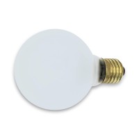 150P25/10 Frosted Incandescent Bulbs 150W 120V Light P25 Light Bulbs By Technical Precision - Medium Base E26 Light Bulb - 2100 Lumens - 1 Pack