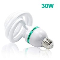 Limostudio 30 Watt Compact Fluorescent Photography Photo Cfl Lighting Light Bulb 5400K, Agg1757