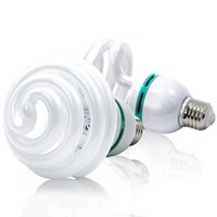 Limostudio 30 Watt Compact Fluorescent Photography Photo Cfl Lighting Light Bulb 5400K, Agg1757