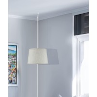 Homeconcept 1 Light Swag Plug-In Pendant 12