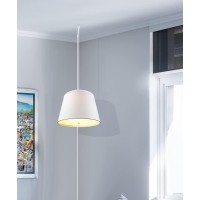 Homeconcept 2 Light Swag Plug-In Pendant 16