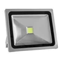 Etoplighting Flood Wash Light, Led Indoor Outdoor Security Water Resistant Landscape Lighting Apl1197, 50W Daylight 120V