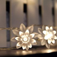 Er Chen Battery Operated Indoor And Outdoor 60 Led Lotus Flower Fairy Lights On 22Ft Pvc String With Timer,For Chrismas, Party, Wedding, Patio, Garden Decor(Warm White)